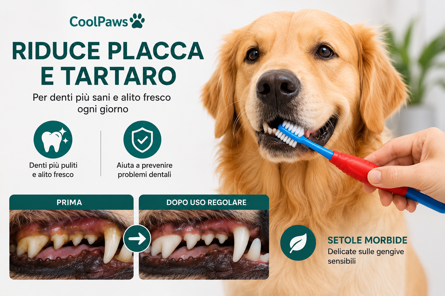 CoolPaws® Spazzolino 360° per Cani | Pulizia Delicata e Completa dei Denti