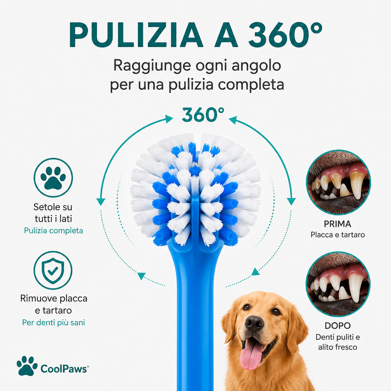 CoolPaws® Spazzolino 360° per Cani | Pulizia Delicata e Completa dei Denti