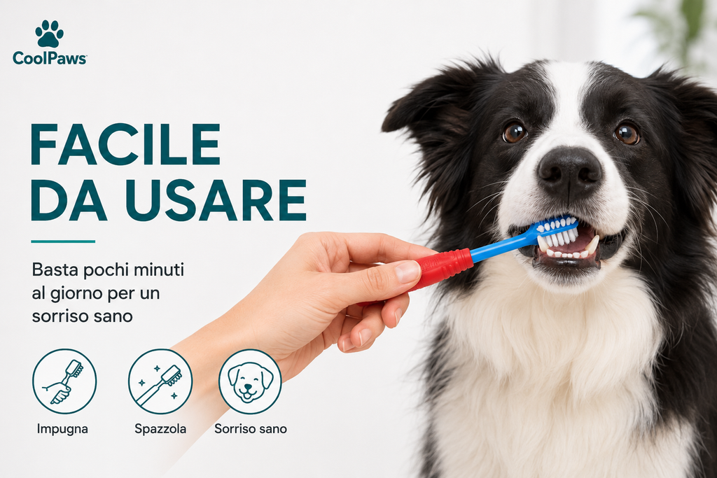 CoolPaws® Spazzolino 360° per Cani | Pulizia Delicata e Completa dei Denti