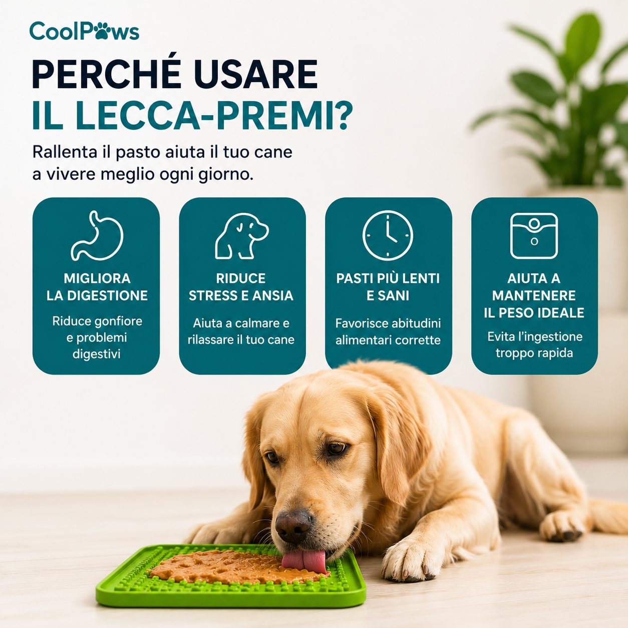 Tappetino Lecca-Premi Antistress per Cani | CoolPaws
