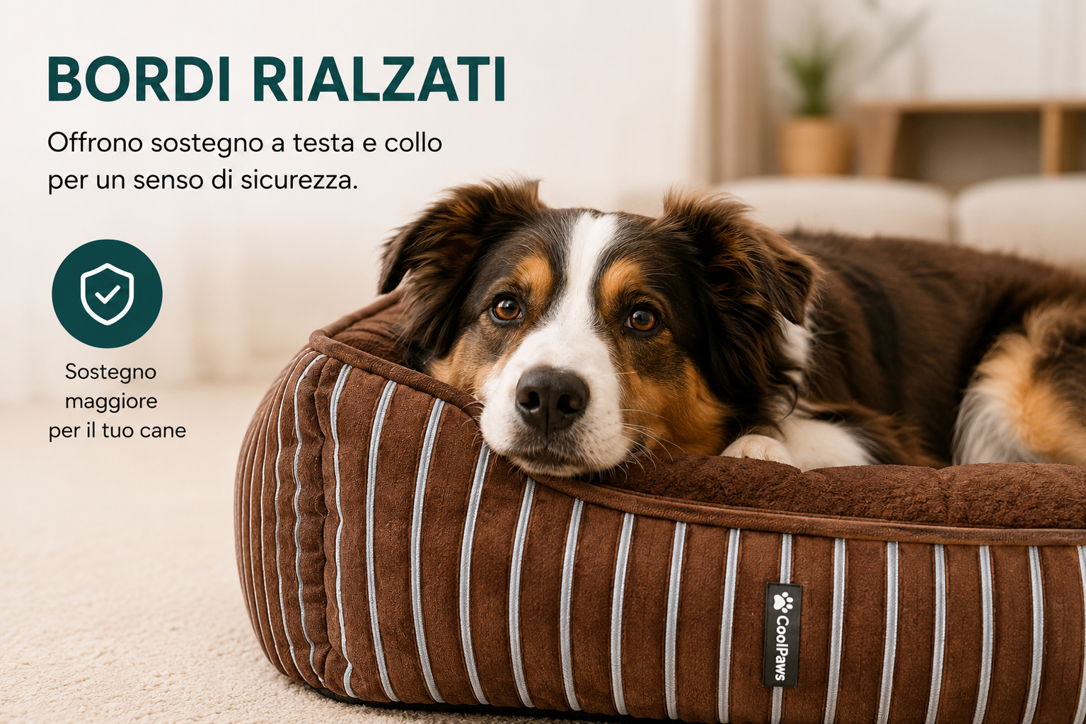 Cuccia Morbida Premium per Cani e Gatti – Ultra Comfort con Bordi Rialzati | CoolPaws